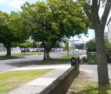 Central Flat - Victoria - Photo 4