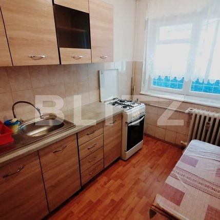 Apartament de 2 camere, 52mp, pet friendly, zona Brazda lui Novac - Photo 1