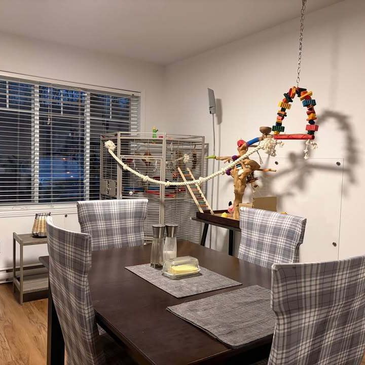 41/2 De Style Condo - Photo 1