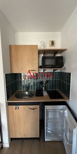Location Appartement 1 pièce 19m² - Photo 3