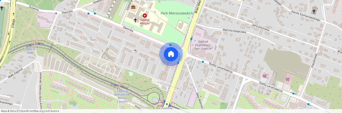 ul. Dworska, Zagórze Północ, Sosnowiec, śląskie