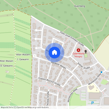 Mainzer Ring 13, 74731 Walldürn