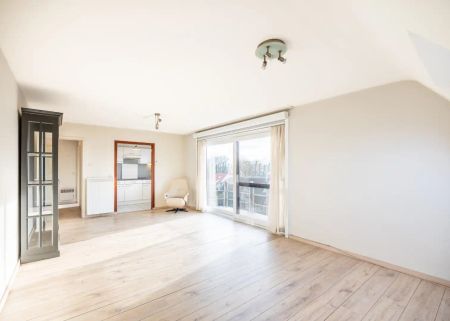 Verdi - 03.03 - Foto 2