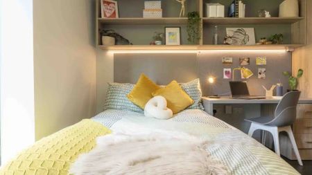 Platinum Studio Deluxe - Photo 5