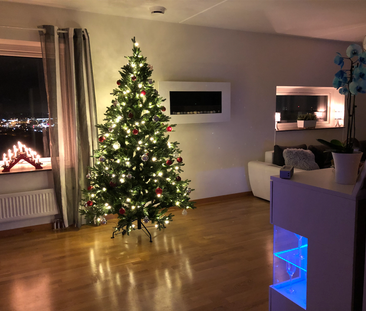 Vikingavägen, Lund - Foto 2