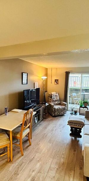 $1150 - 1 Chambre Au Cité-des-Jeunes - Photo 1