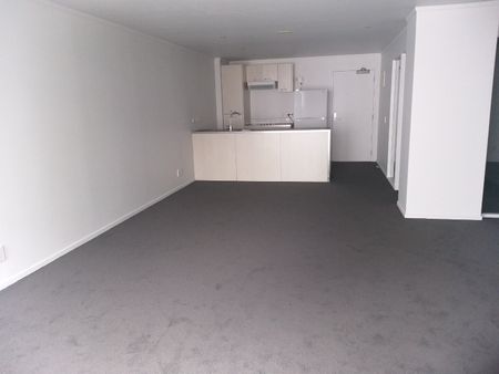 Large and Spacious - Photo 4