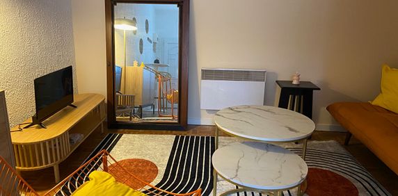 Location Appartement 1 pièce 20m² - Photo 2