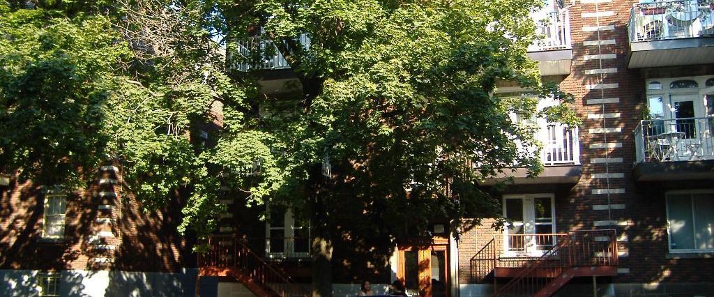 Très beau 3 1/2 à louer, entièrement rénové! À voir absolument! - Photo 1