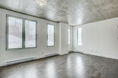Appartement à louer - Montréal (Ville-Marie) (Centre Ouest) - Photo 2