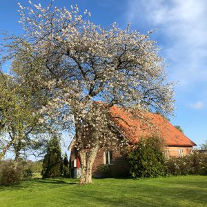 Fogdebacksvägen, Svedala - Foto 2