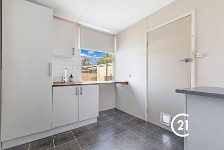 Ready Now! - Photo 4