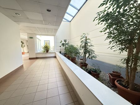 Mieszkanie Śródmieście-Centrum Szczecin, Plac Stefana Batorego, nr 439139 - Photo 4