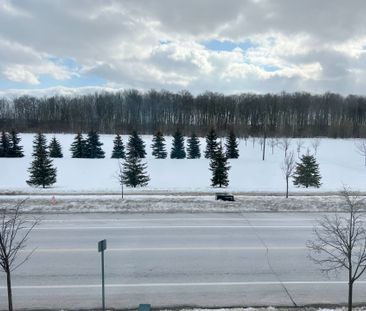 For Lease - 936 Castlemore Avenue, Markham, Ontario - Photo 5