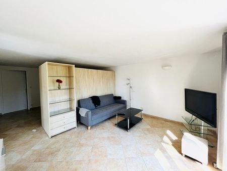 BIGUGLIA : appartement F1 Meublé (50 m²) en location - Photo 3