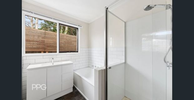 Coastal Living in Old Ocean Grove - Photo 1