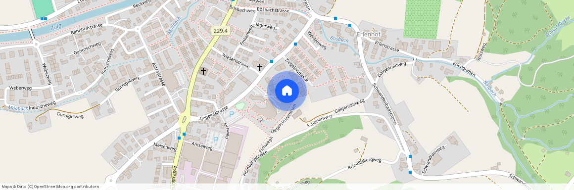 Ziegeleistrasse 24 a, 3612 Steffisburg