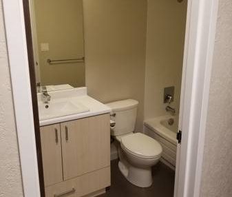 1BR apartment - Photo 4