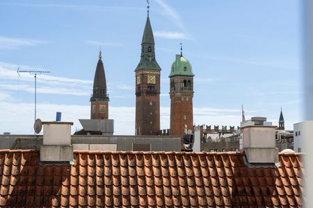 Stor og eksklusiv 2-vær lejlighed på 156 m2 i hjertet af City - Photo 5