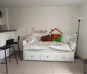 Location Appartement 1 pièce 29m² VIENNE 38200 - Photo 1
