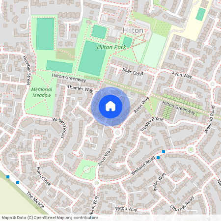 Otter street, Hilton, DE65