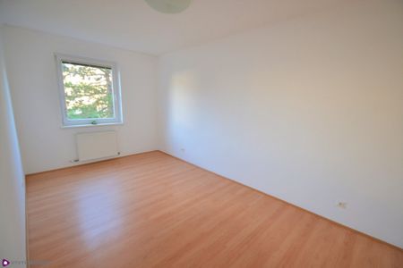 Ein Katzensprung zur U2 und zum Mühlwasser! - Foto 3