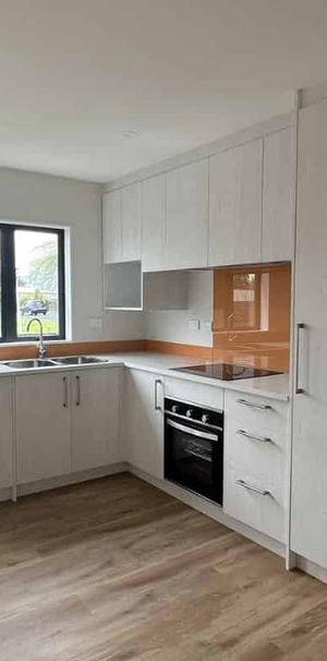 Modern 3-Bedroom Brand New Home in Clover Park - Photo 1