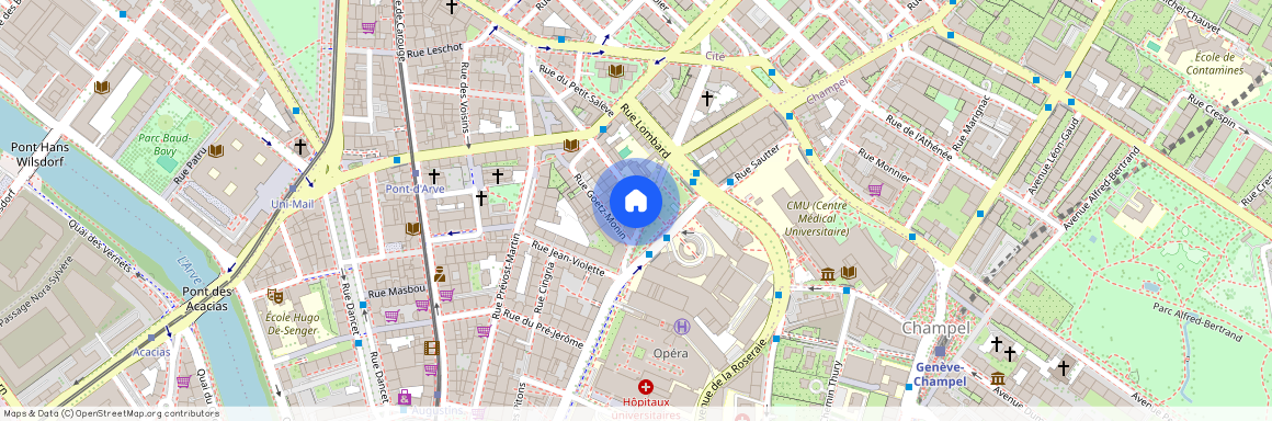 Rue Micheli-du-Crest 22, 1205 Genève