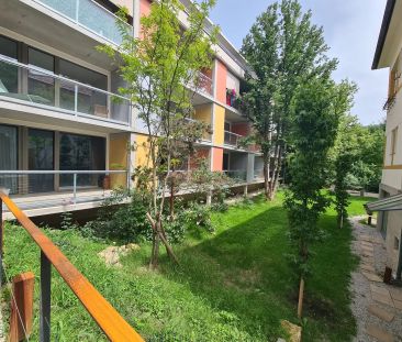 Moderne 2-Zimmer Penthouse mit Terrasse! - Photo 4