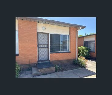 One-Bedroom Unit Near the Botanical Gardens - Photo 3