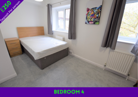 6 Bedroom Student Home - Regency Place - Photo 1