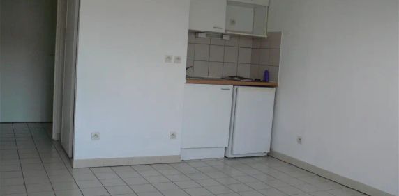 Location appartement 1 pièce - 21m² à Saint orens de gameville (31650) - Photo 2
