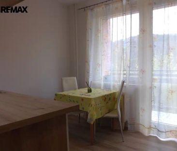 Adamov: pronájem bytu 1+1 po rekonstrukci se 2 lodžiemi, celkem 39 m - Fotografie 1