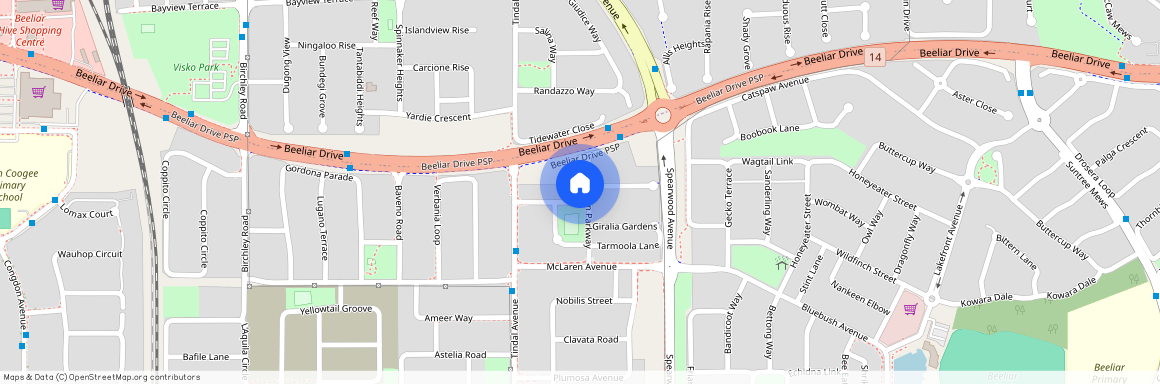 19 Waterbank Avenue, Beeliar WA 6164