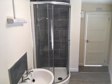 Baptist Well Place, SWANSEA - Photo 5