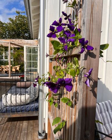 Kärra bygata, Varberg - Foto 4