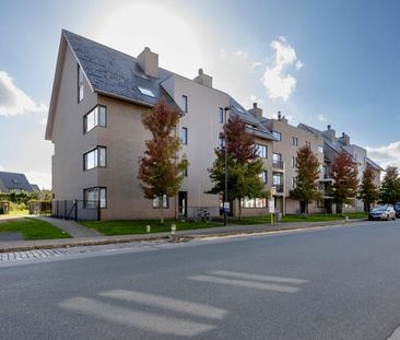 Duplex te huur - Photo 6