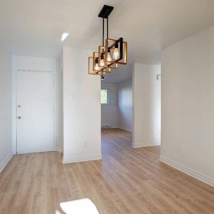 Grand 4 1/2 rénové à Mirabel - Libre maintenant - Internet inclus - Photo 1