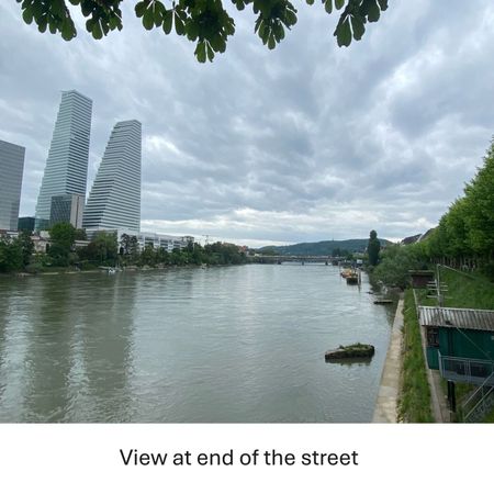 31/2-ROOM APARTMENT IN BASEL - WIDE, FURNISHED, TEMPORARY - Foto 3