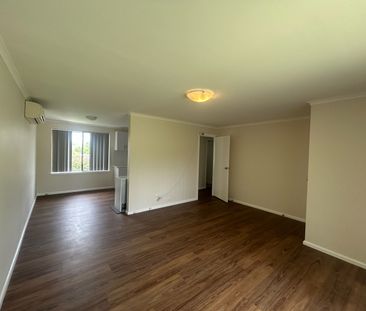 Fully Renovated 3-Bedroom Home - South Bathurst - Photo 2