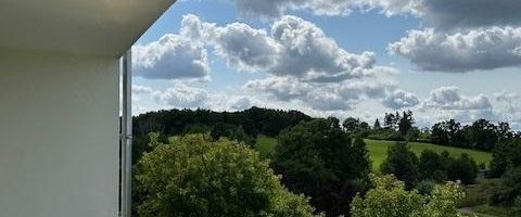 Renovierte 3 Raum Wohnung mit großzügigem Balkon und Aufzug in Gera Lusan - Foto 1