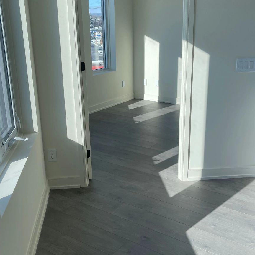 8020 Derry Road #509 - Photo 1