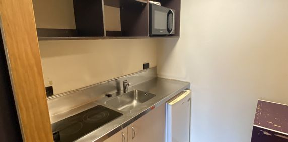 Studio Apartment in the Heart of Wellington! - Photo 2