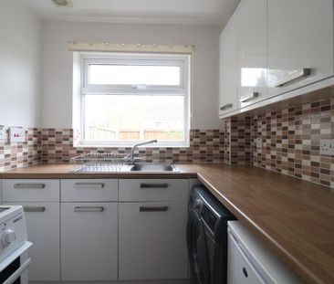 1 bedroom cluster house to rent - Photo 5