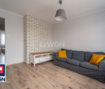 Mieszkanie na wynajem Elbląg - 3 pokoje osiedle NAD JAREM, balkon, ... - Zdjęcie 3