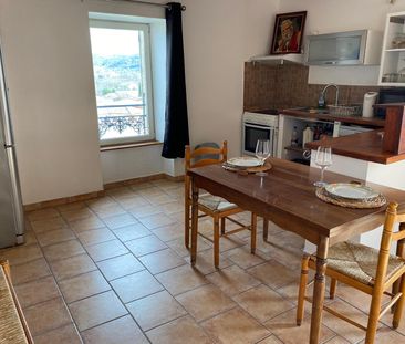 Location Appartement 1 pièce 42m² VOGUE 07200 - Photo 4