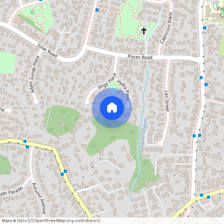 15 Hydra Place, Glen Eden