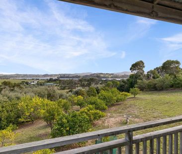 Tara Iti Olive Estate - Photo 5
