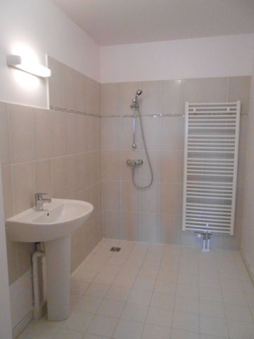 APPARTEMENT RECENT FLEURY SUR ORNE - 2 pièce(s) - 52 m2 - Photo 4