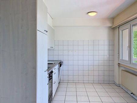 Spacious accommodation in a beautiful green setting, without neighbors! - Photo 4